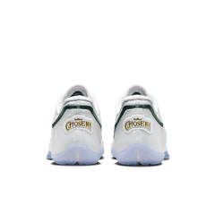 Nike LeBron XXIII 23 From This Point Forward
