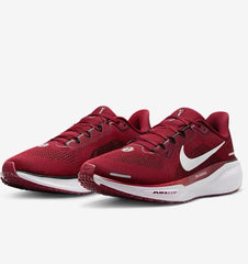 Air Zoom Pegasus 41 Oklahoma FZ5137-600