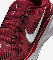 Air Zoom Pegasus 41 Oklahoma FZ5137-600