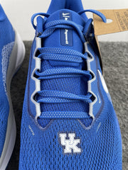 Air Zoom Pegasus 41 Kentucky FZ5117-400