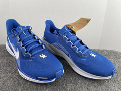 Air Zoom Pegasus 41 Kentucky FZ5117-400