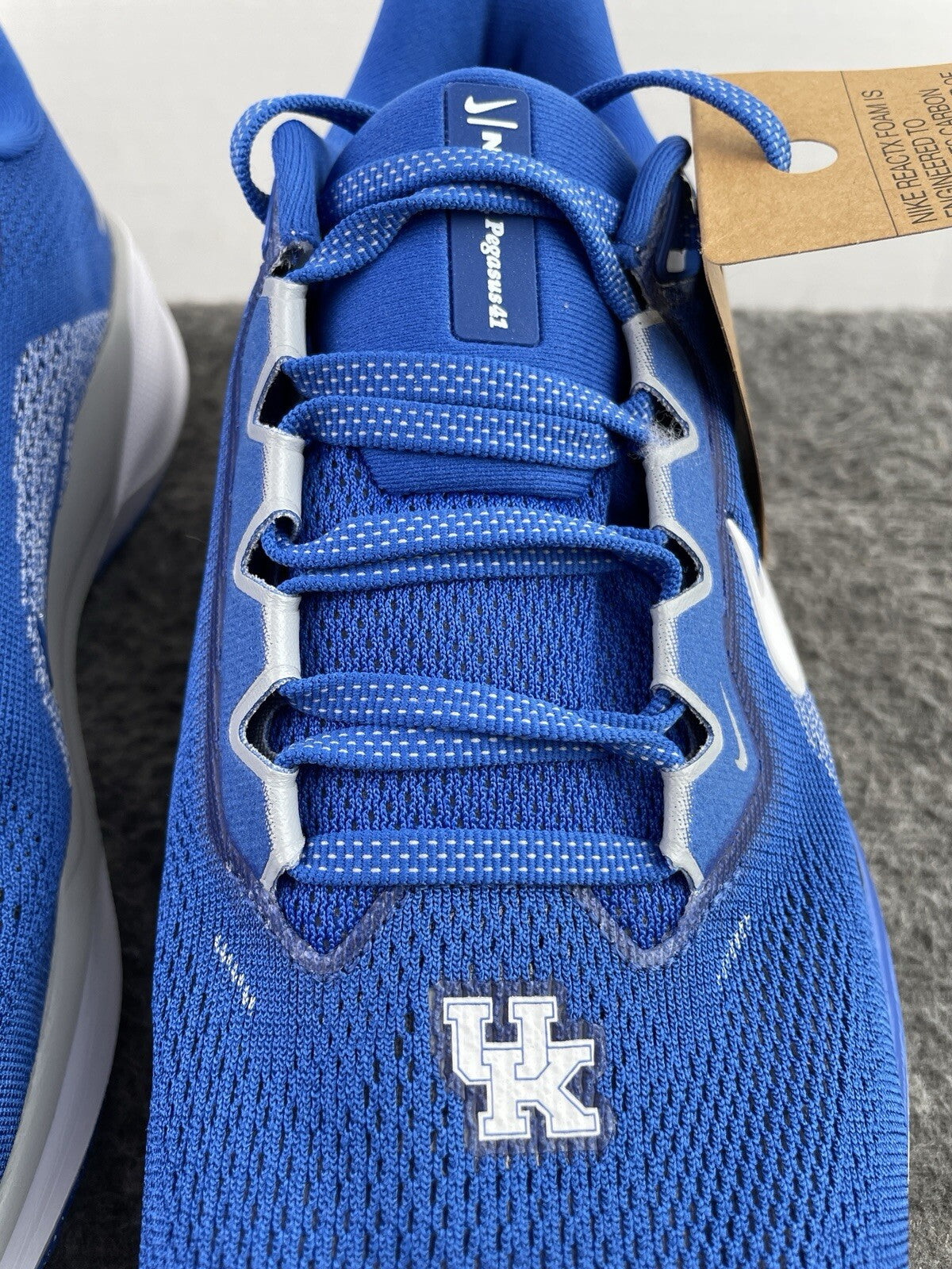 Air Zoom Pegasus 41 Kentucky FZ5117-400