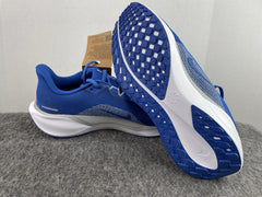Air Zoom Pegasus 41 Kentucky FZ5117-400